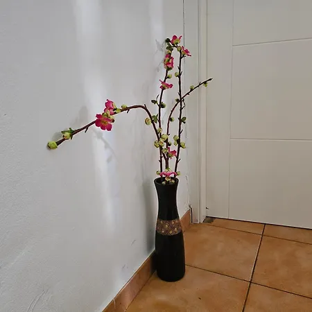 Appartement Keka's - Centre